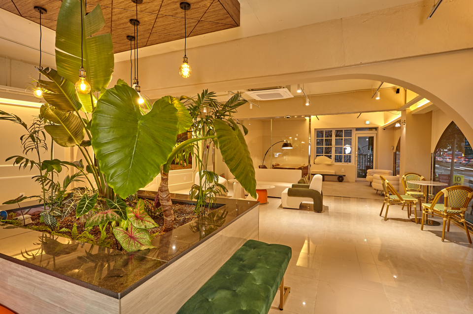 BAZIG 오피스 인테리어