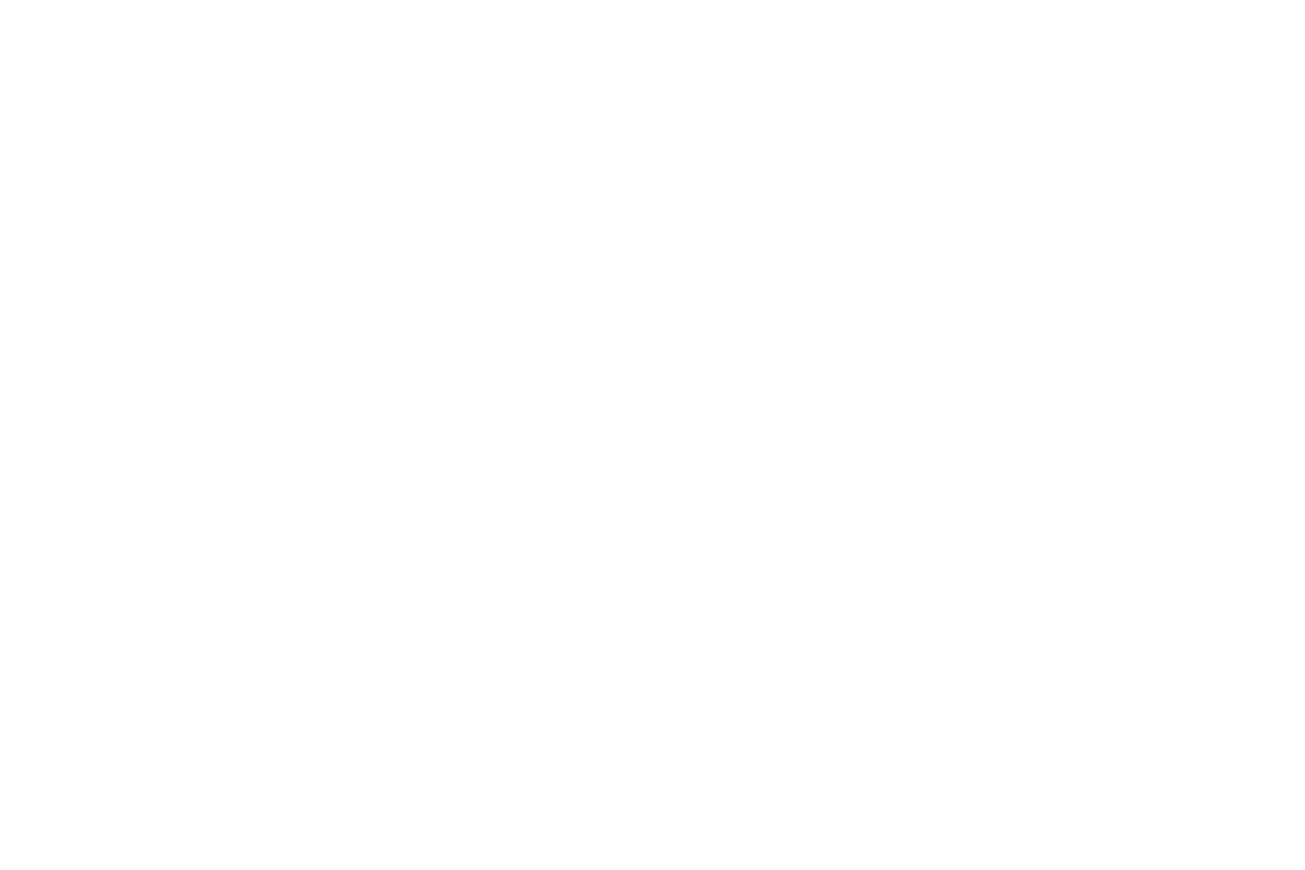 Nexora Collective