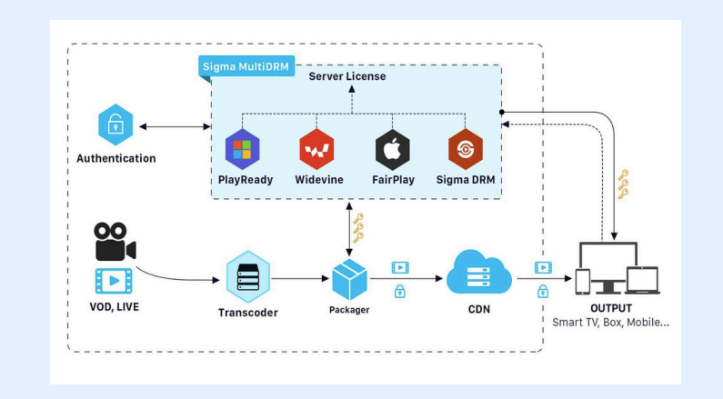 Multi-DRM System