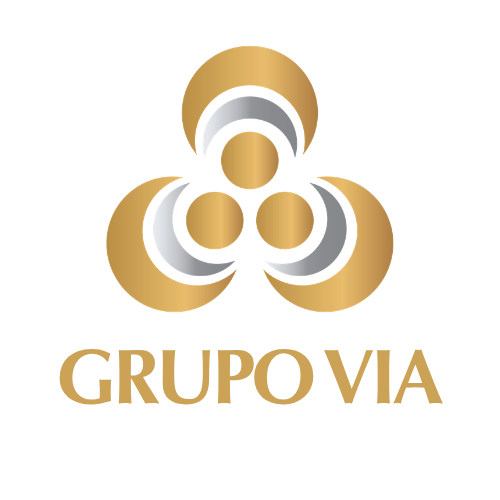 Grupo Via