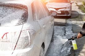 Exterior Detailing Service