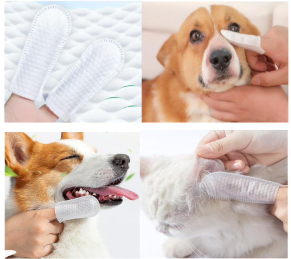 ペット用指サック