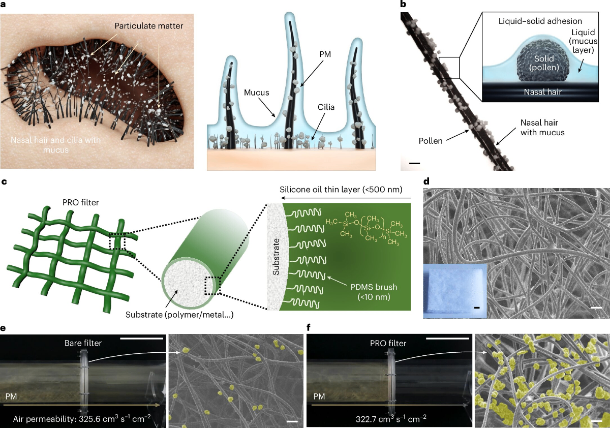 코털의 기능 - 코속의 신비 과학 다이어그램