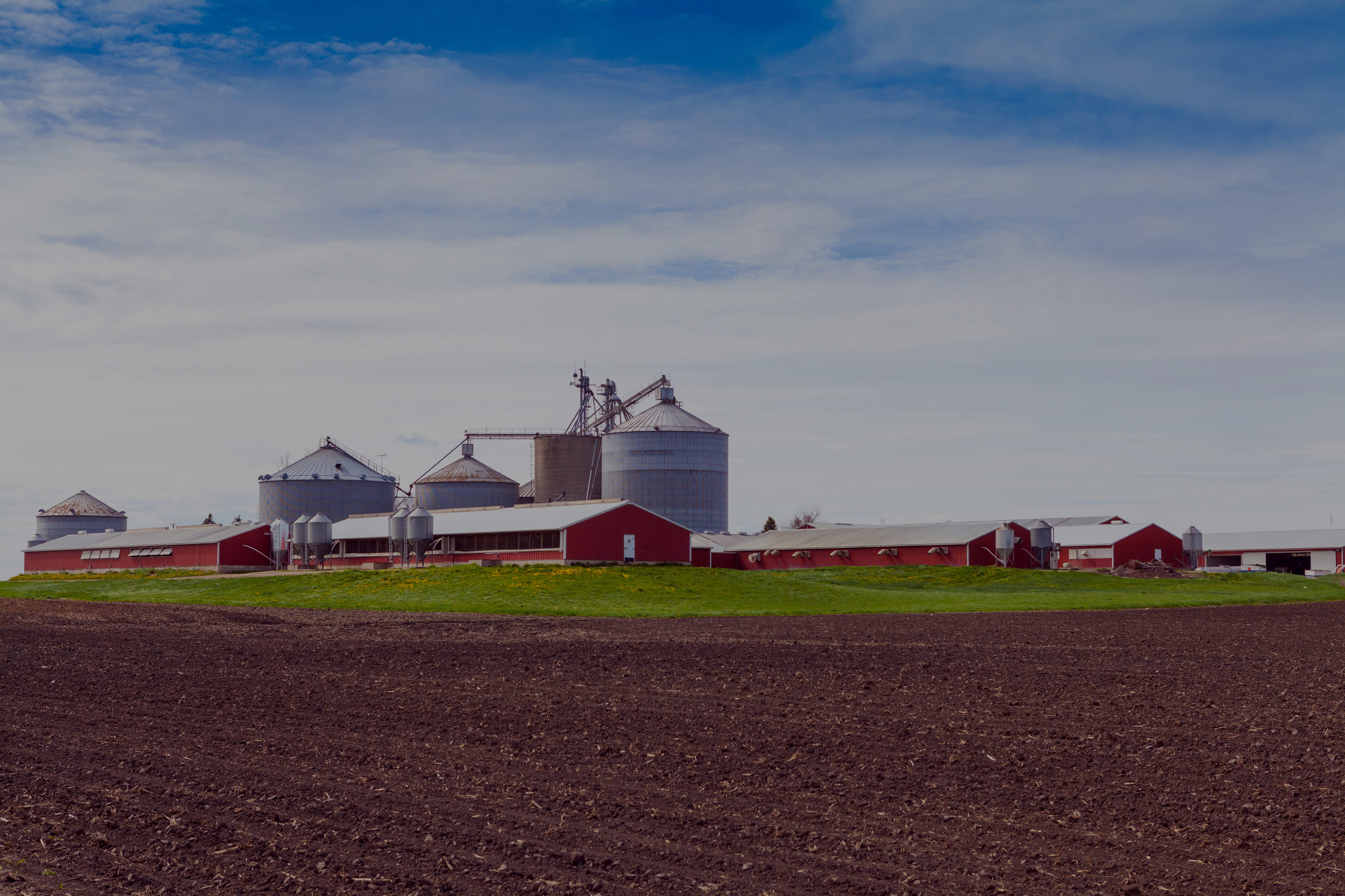 Premium agricultural operation at scale