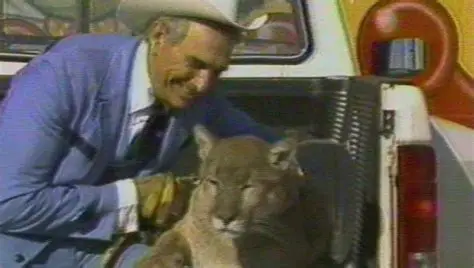 Automotive Advertising