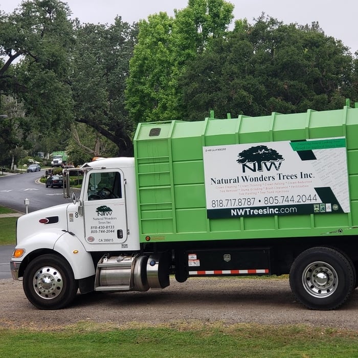 Tree Services in Moorpark