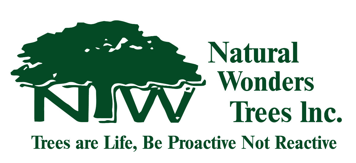 Natural Wonders Trees Inc. Logo
