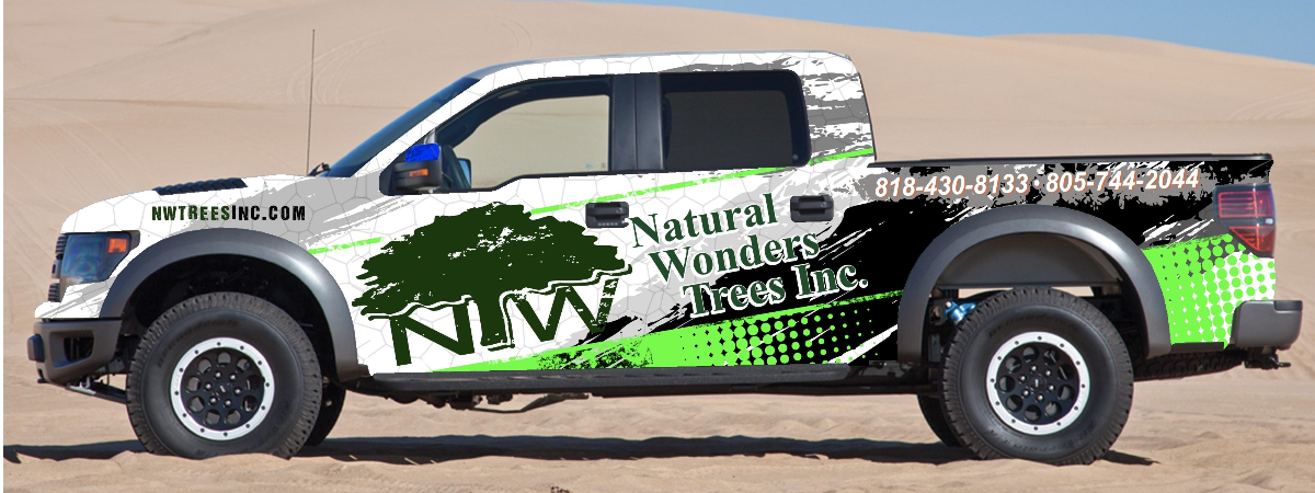 Natural Wonders Trees Inc. truck