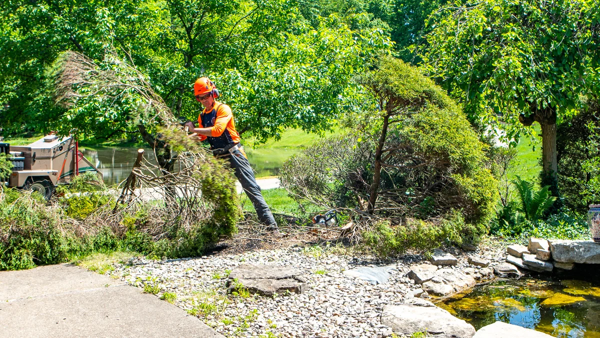 Natural Tree Services truck