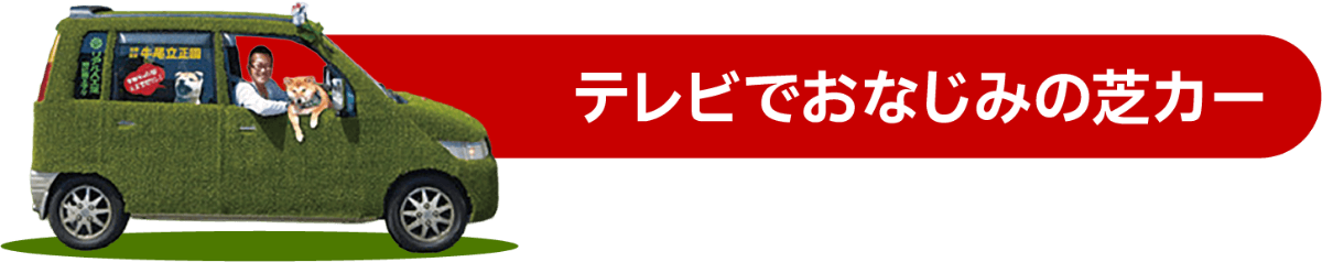 お庭のお困り事 - 剪定・伐採・草刈り・除草のご相談
