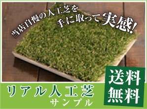 超リアル人工芝のサンプル