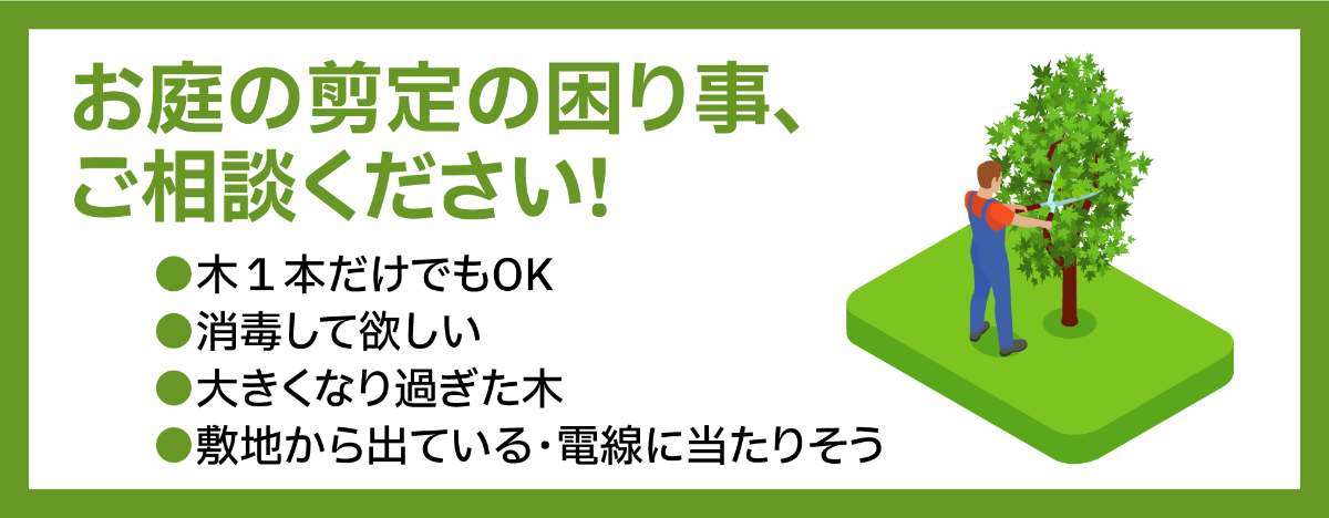 お庭の剪定の困り事、ご相談ください