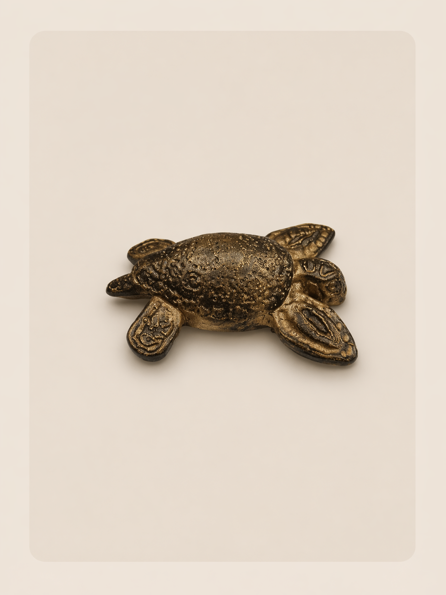 Galapagos – H 9 × L 6,5 × Pr 3 cm – L'Atelier d'Agnès Galapagos – sculpture argile sans cuisson par Agnès Bressand