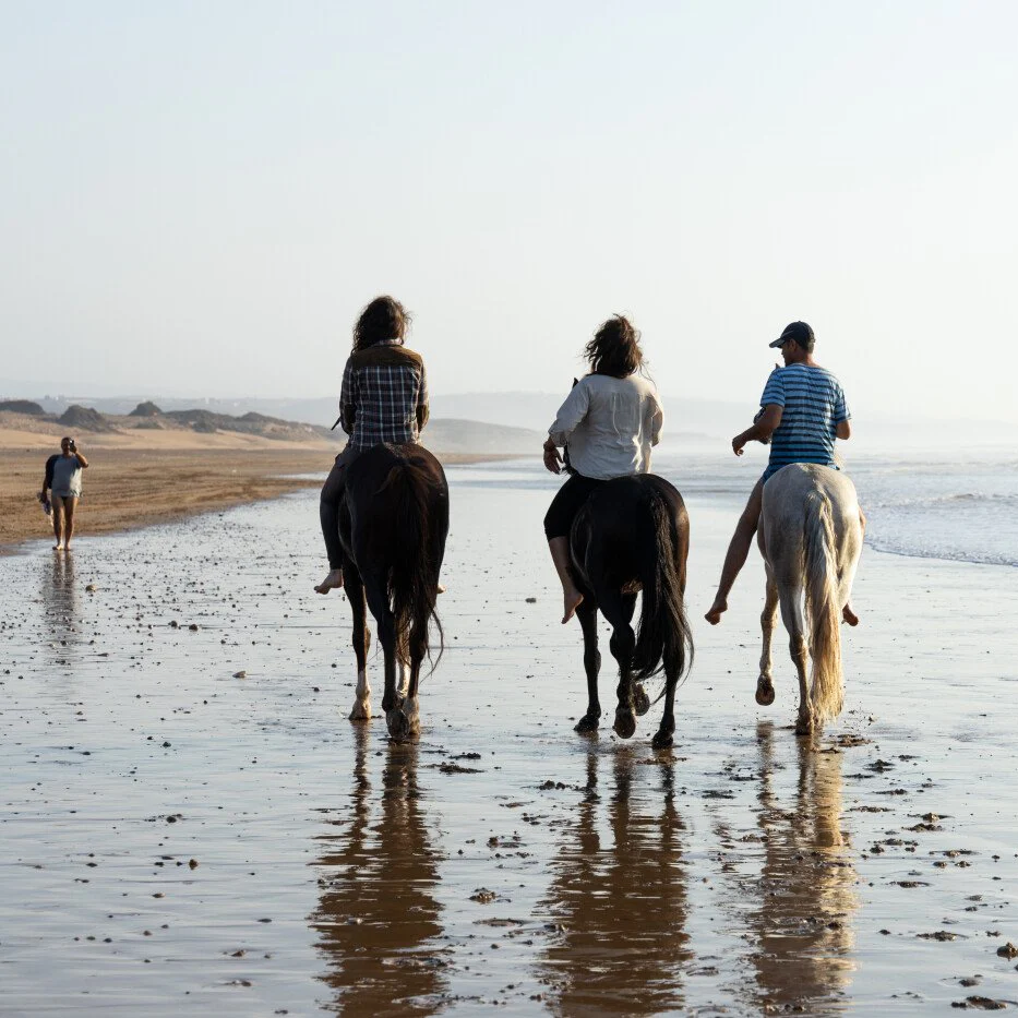 Balade découverte 3 heures - Enjoy Essaouira Balade découverte 3 heures
