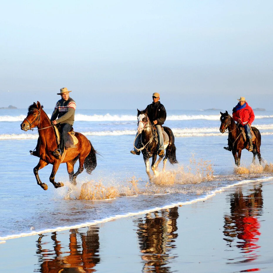 Balade découverte 1 heure - Enjoy Essaouira Balade découverte 1 heure