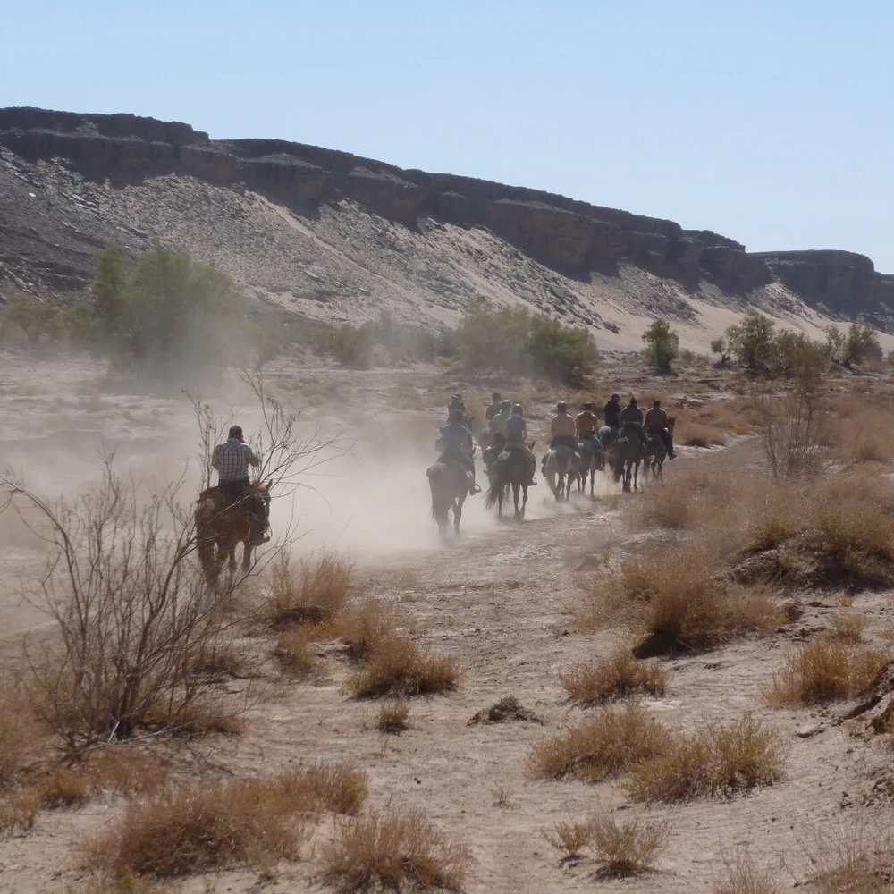 Journée complète - Enjoy Essaouira Journée complète