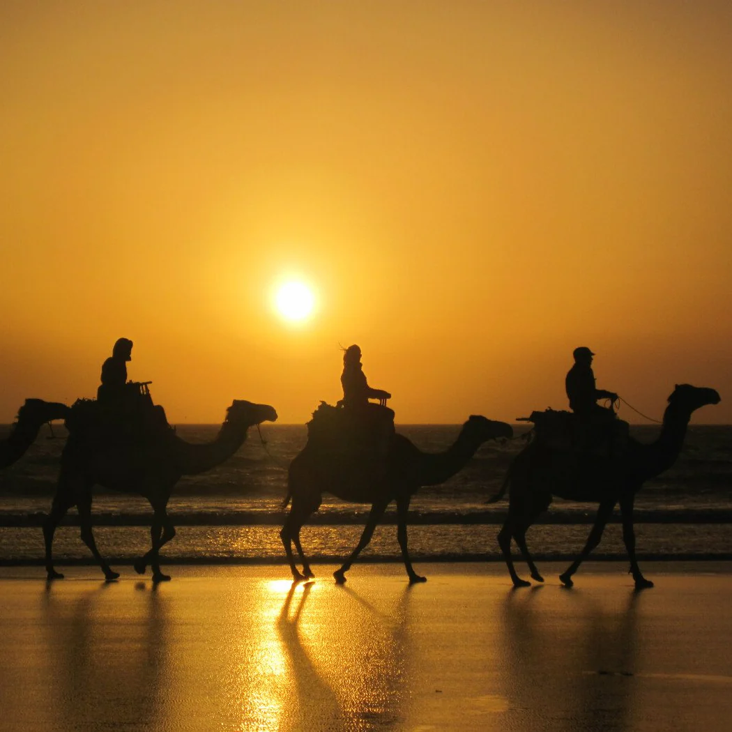 Balade sunset 2 heures - Enjoy Essaouira Balade sunset 2 heures