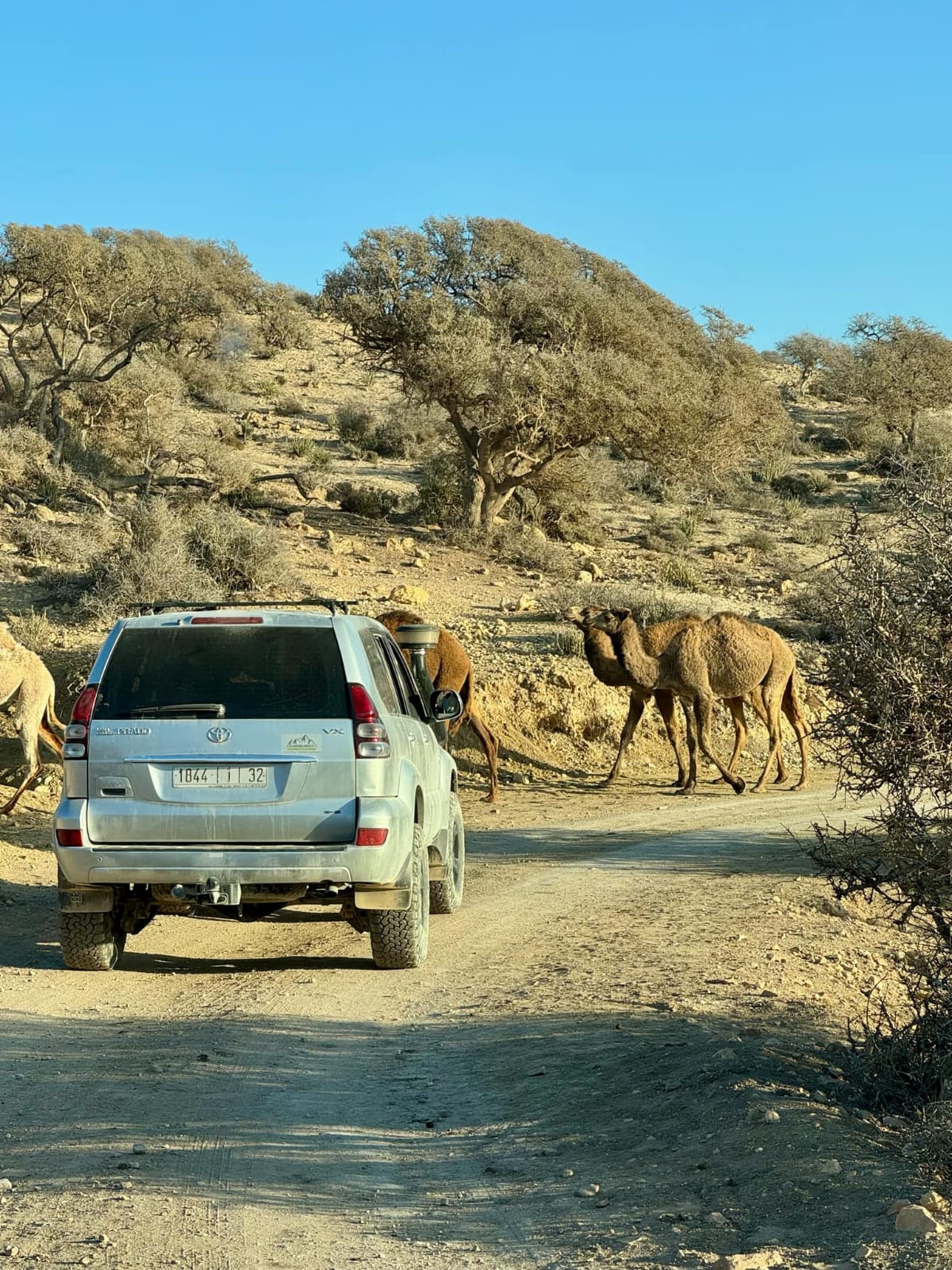 4x4 Nature Tour - Enjoy Essaouira 4x4 Nature Tour