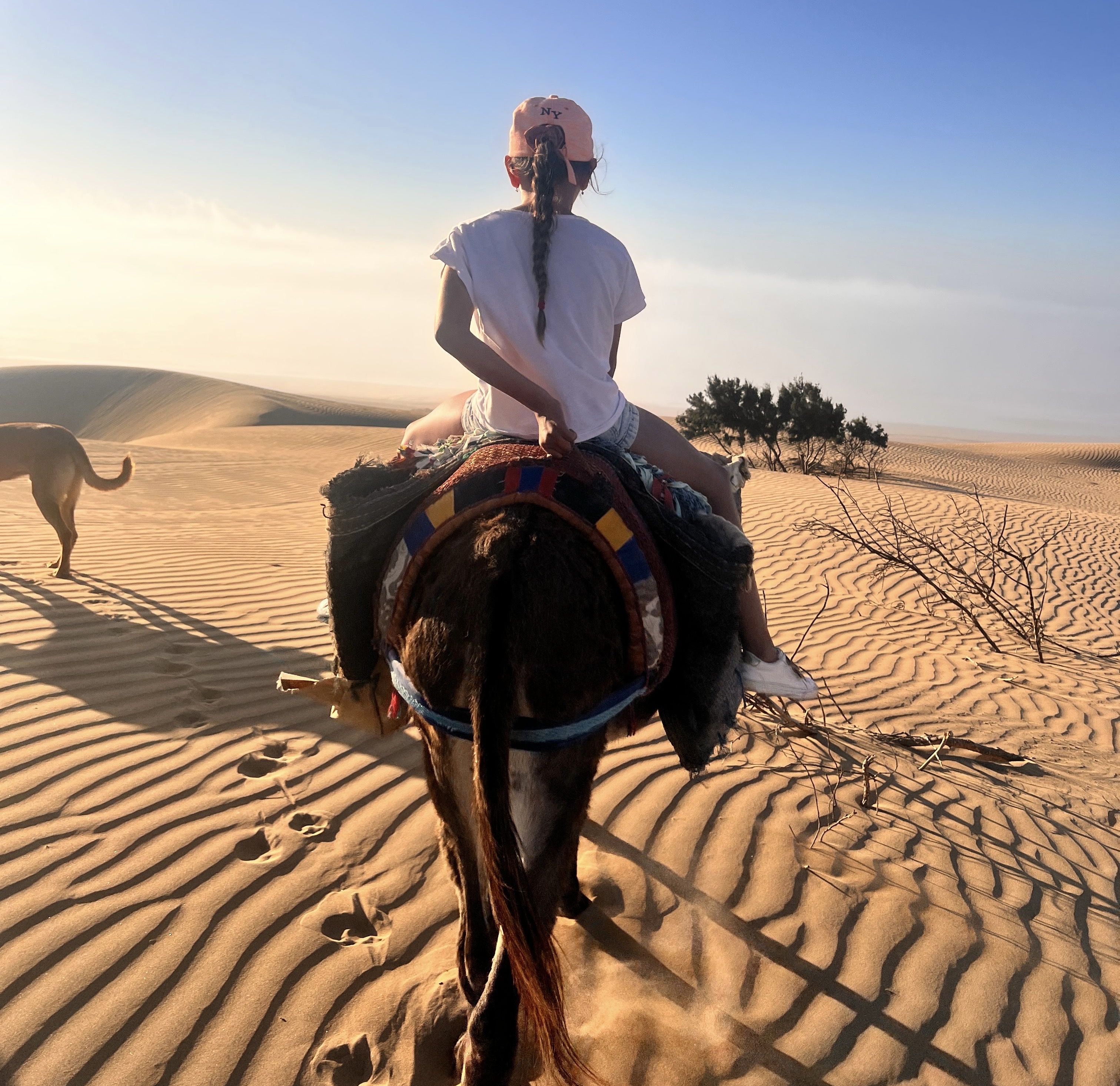 Donkey Ride – Sidi M'Barek Beach - Enjoy Essaouira Donkey Ride – Sidi M'Barek Beach