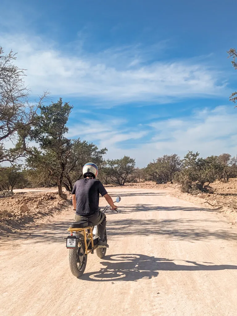 The Secrets of the Oasis - Enjoy Essaouira The Secrets of the Oasis