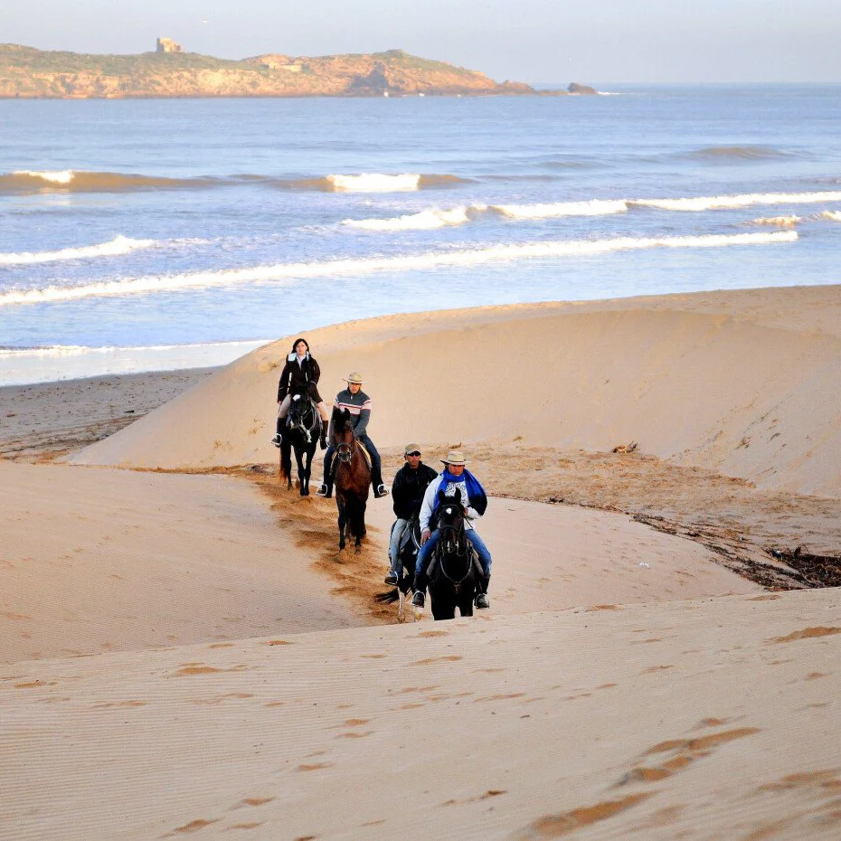 Balade sunset 1 heure - Enjoy Essaouira Balade sunset 1 heure