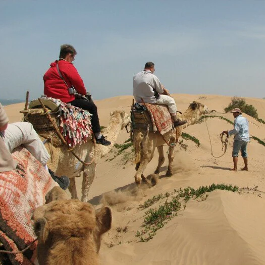 Balade découverte 2 heures - Enjoy Essaouira Balade découverte 2 heures