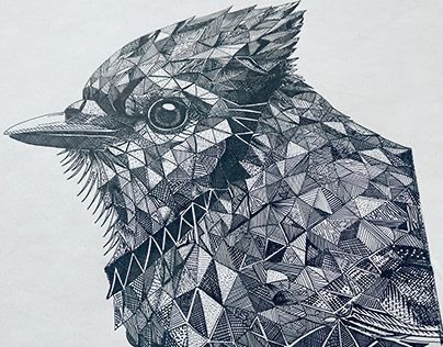 Pen & Ink Illustration