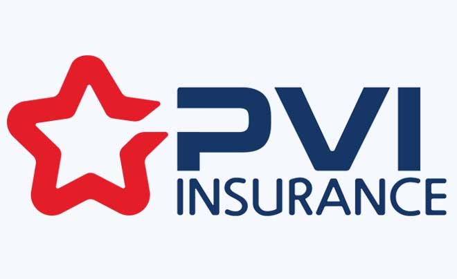 Logo PVI