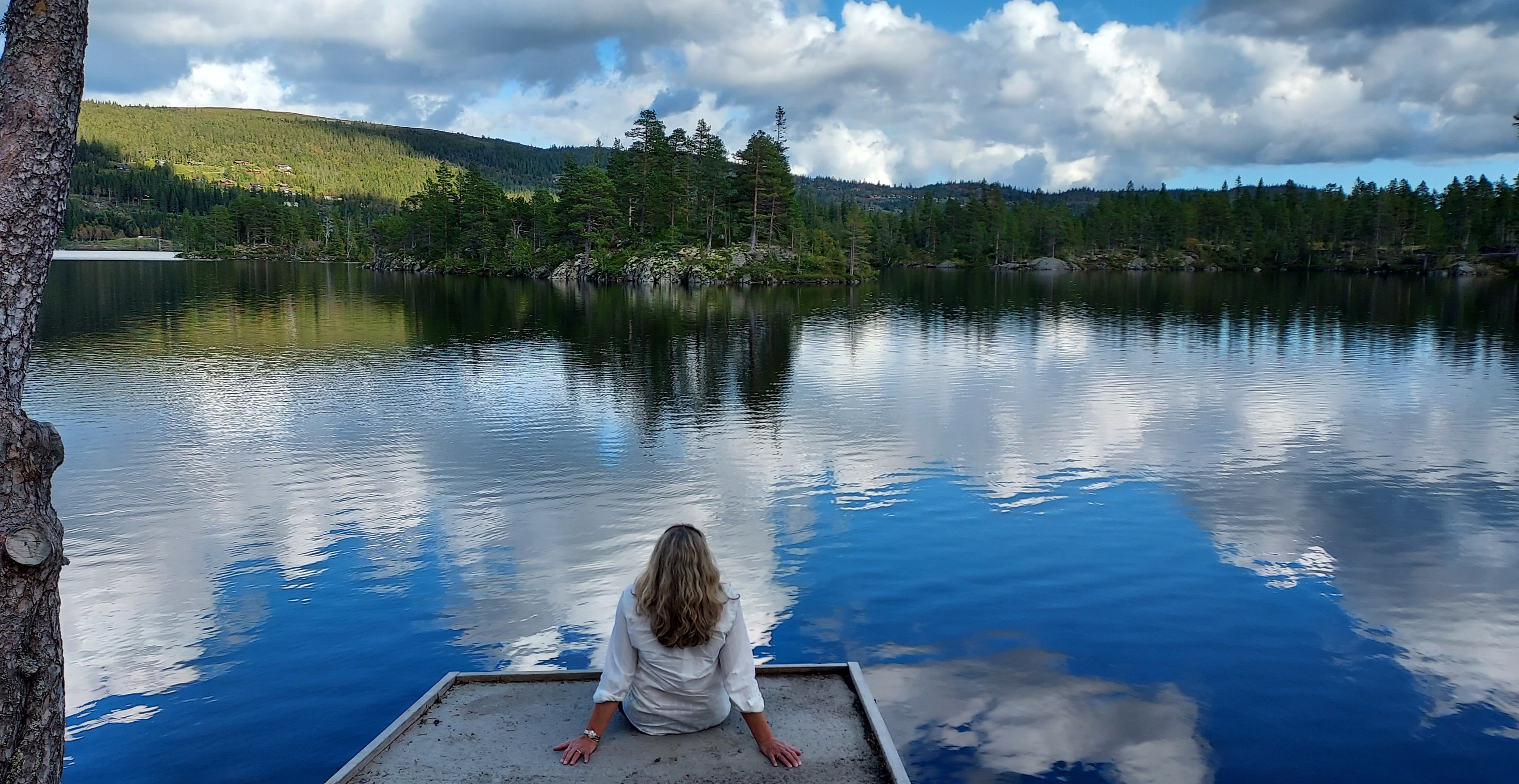 Norwegian landscape