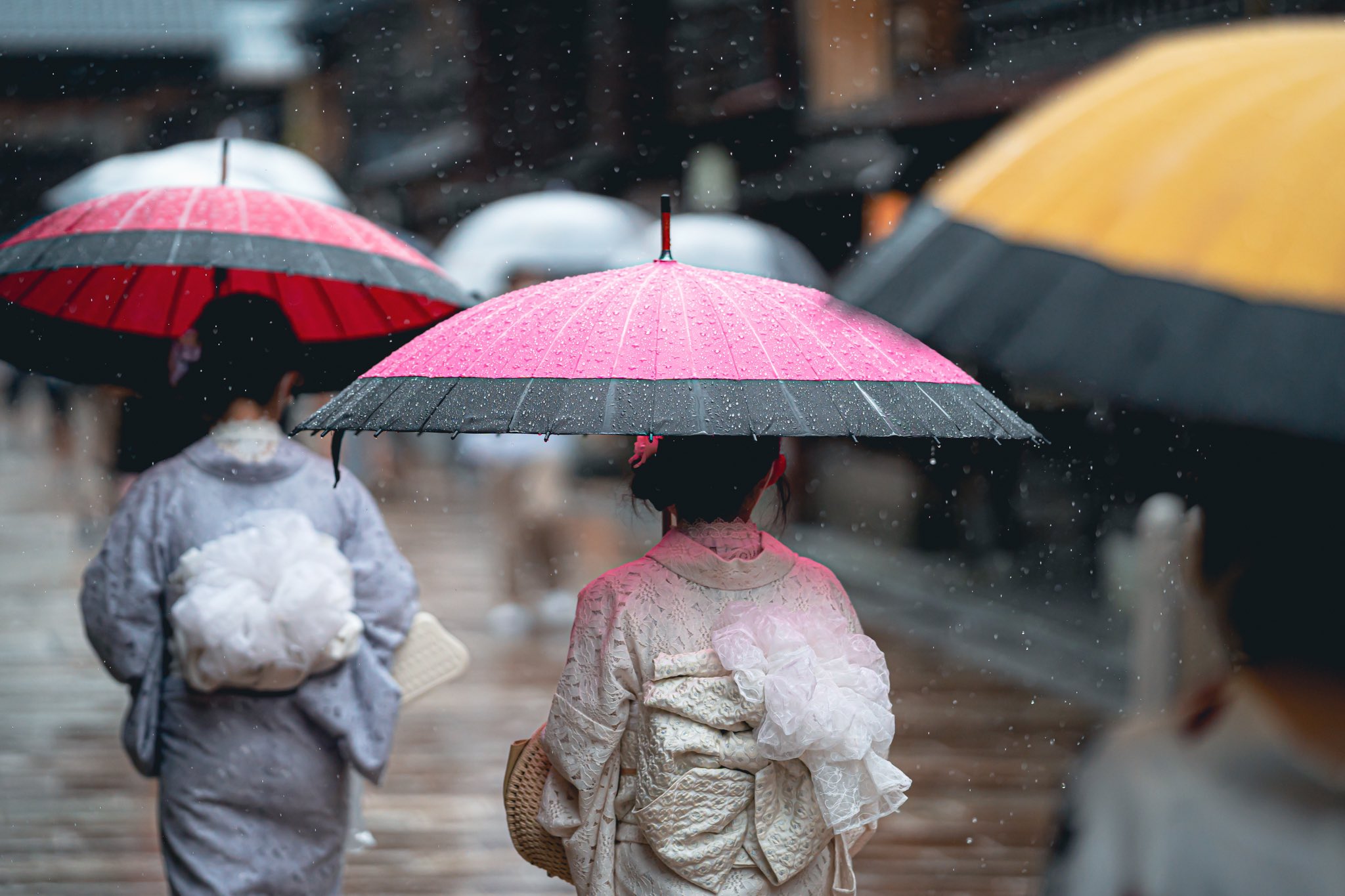 雨