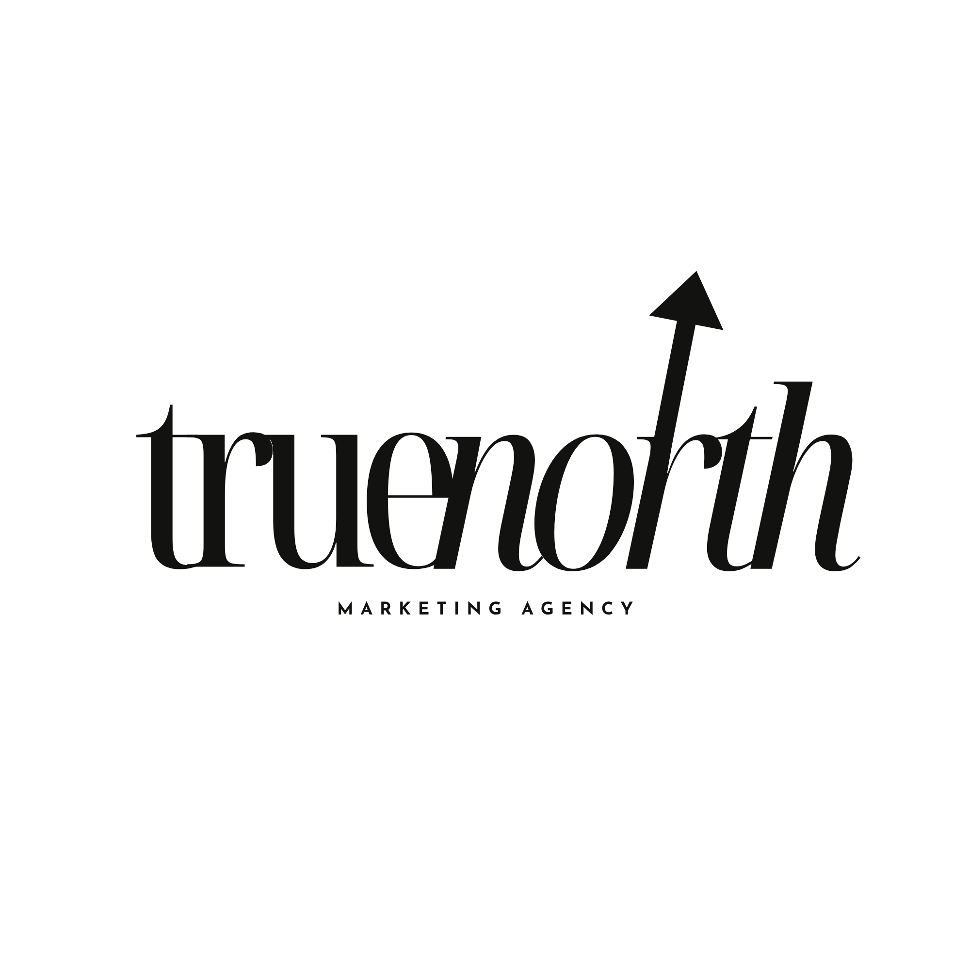 True North Logo